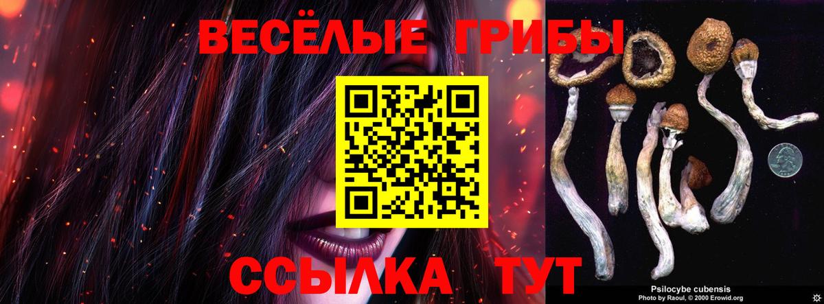 Псилоцибиновые грибы Cubensis  Вход с VPN  Муравленко 